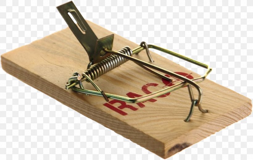 Mousetrap Lenovo Essential Laptops Trapping, PNG, 938x594px, Mouse, Animal Trap, Bait, Bird Trapping, Computer Monitors Download Free