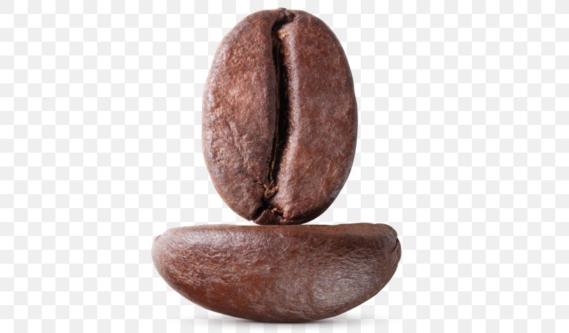 Coffee Bean Caffè Mocha Coffee Roasting, PNG, 550x480px, Coffee, Breakfast, Cafe, Chocolate, Cocoa Bean Download Free