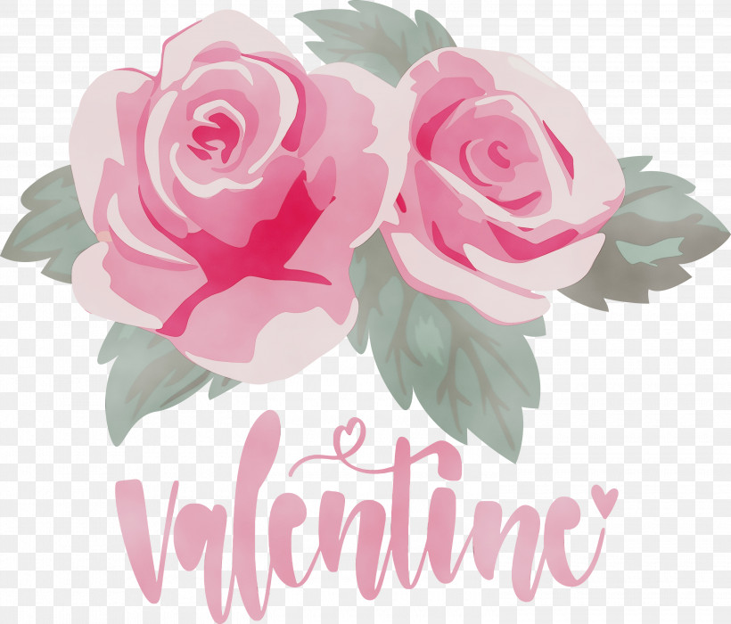 Garden Roses, PNG, 3000x2564px, Valentines Day, Cabbage Rose, Cut Flowers, Floral Design, Floribunda Download Free