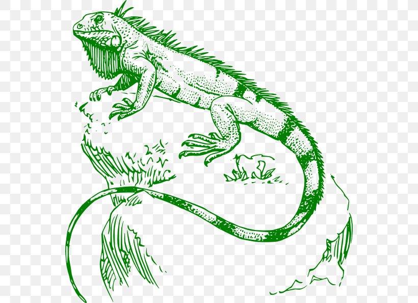 Lizard Green Iguana Reptile Chameleons Tattoo, PNG, 564x594px, Lizard, Amphibian, Animal Figure, Artwork, Chameleons Download Free