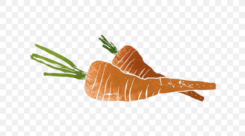Organism Orange S.A., PNG, 640x455px, Organism, Carrot, Food, Orange Sa, Vegetable Download Free