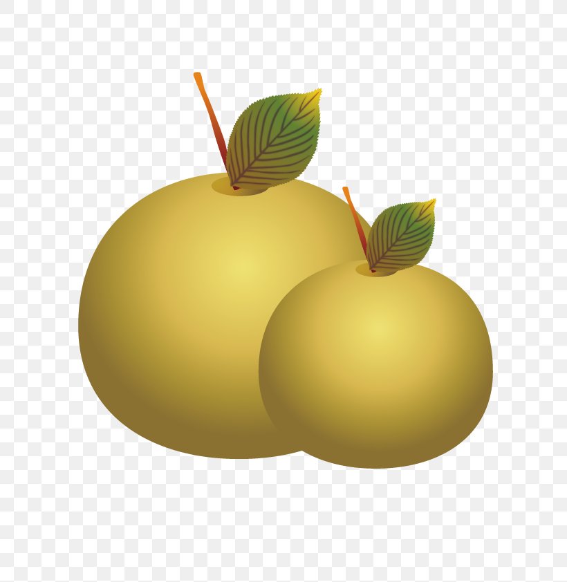 Pear, PNG, 800x842px, Pear, Apple, Auglis, Computer Graphics, Food Download Free