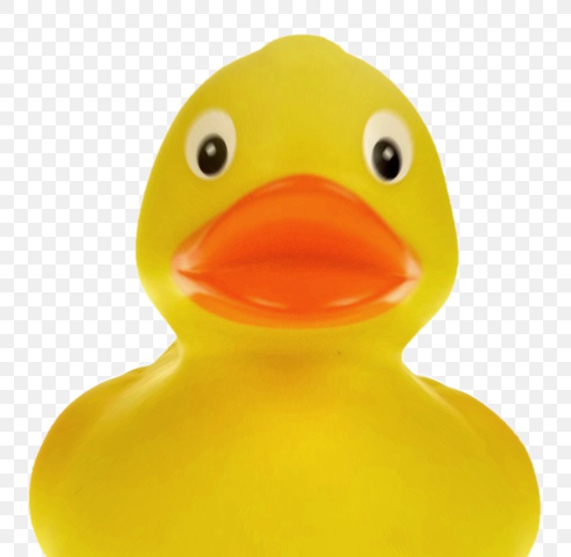 Rubber Duck Yellow Bathtub Inflatable, PNG, 800x800px, Duck, Bathtub, Beak, Bird, Color Download Free