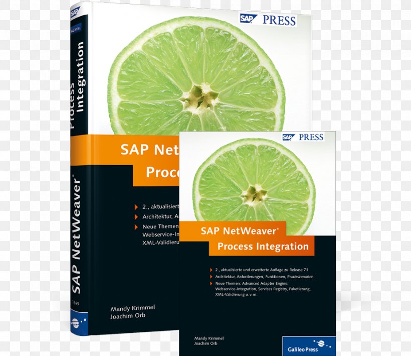 SAP NetWeaver Process Integration Datenmodellierung In SAP NetWeaver BW Book Praxisleitfaden SAP NetWeaver PI, PNG, 925x800px, Sap Netweaver Process Integration, Abap, Amazoncom, Book, Brand Download Free