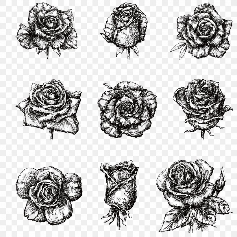 Drawing Black And White Illustration, PNG, 1500x1500px, Drawing, Art, Artwork, Beach Rose, Black And White Download Free