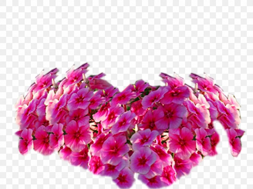 Flower Blog Petal, PNG, 1024x768px, Flower, Adobe Systems, Blog, Blogger, Cut Flowers Download Free