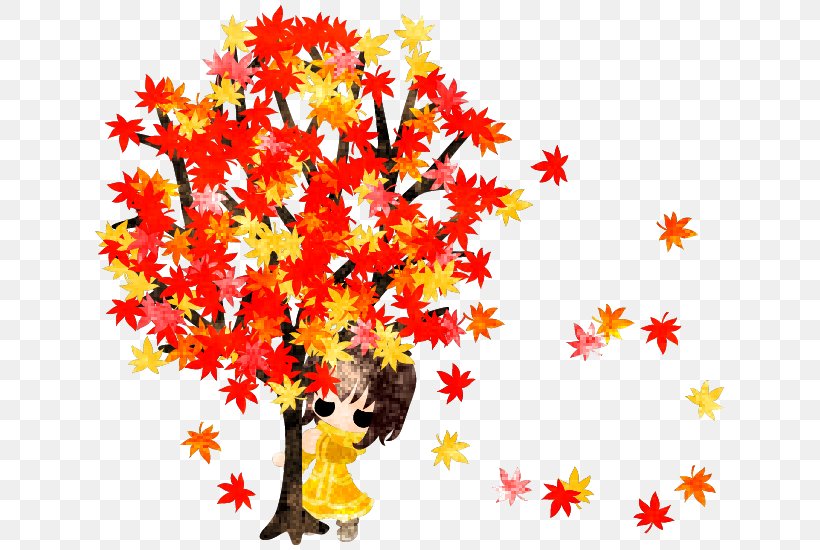 Autumn Stock Illustration Vector Graphics Photography, PNG, 640x550px, Autumn, Autumn Leaf Color, Branch, Chrysanths, Cut Flowers Download Free