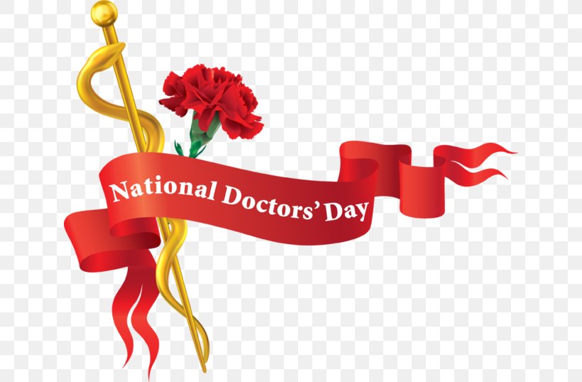 Clip Art National Doctors' Day Physician Medicine Openclipart, PNG, 640x538px, Physician, Cardiology, Fashion Accessory, Flower, Health Download Free