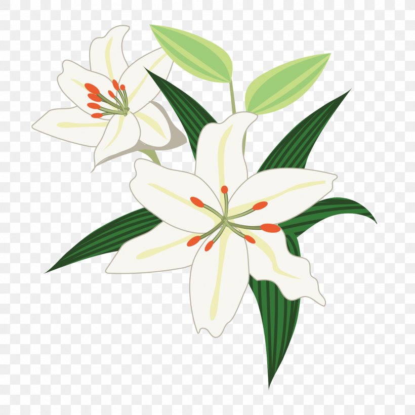 Floral Design Lilium ‘Casa Blanca’ Illustration Graphics, PNG, 1738x1738px, Watercolor, Cartoon, Flower, Frame, Heart Download Free