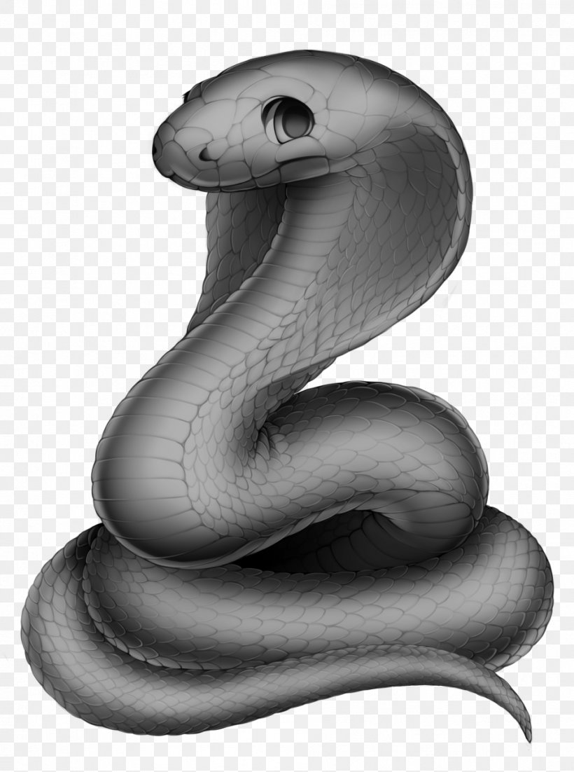 Snake Reptile Grayscale Wikia, PNG, 952x1280px, Snake, Black And White, Digital Media, Dragon, Fandom Download Free