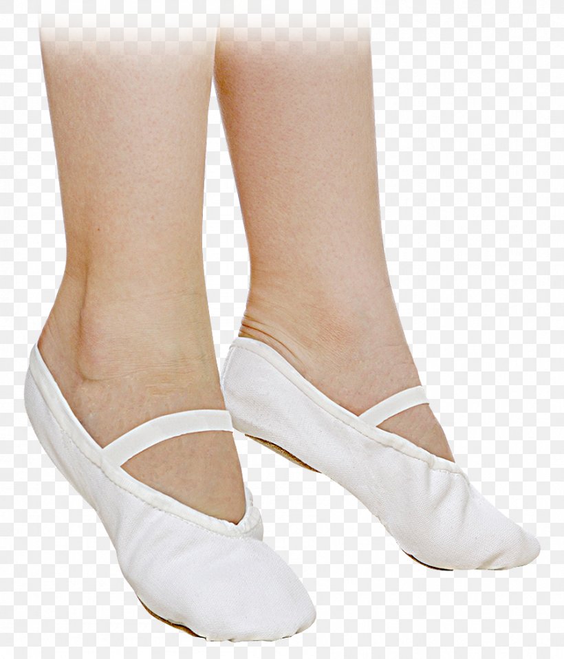 Ballet Shoe Dance Slipper Buty Taneczne, PNG, 898x1050px, Watercolor, Cartoon, Flower, Frame, Heart Download Free