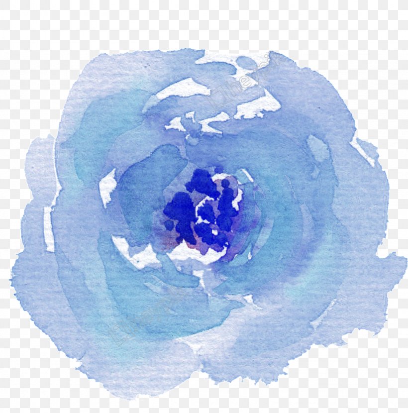 Blue Rose Watercolor Painting Watercolor Flowers Png 1024x1037px Blue Rose Blue Blue Watercolor Flower Cornales Drawing