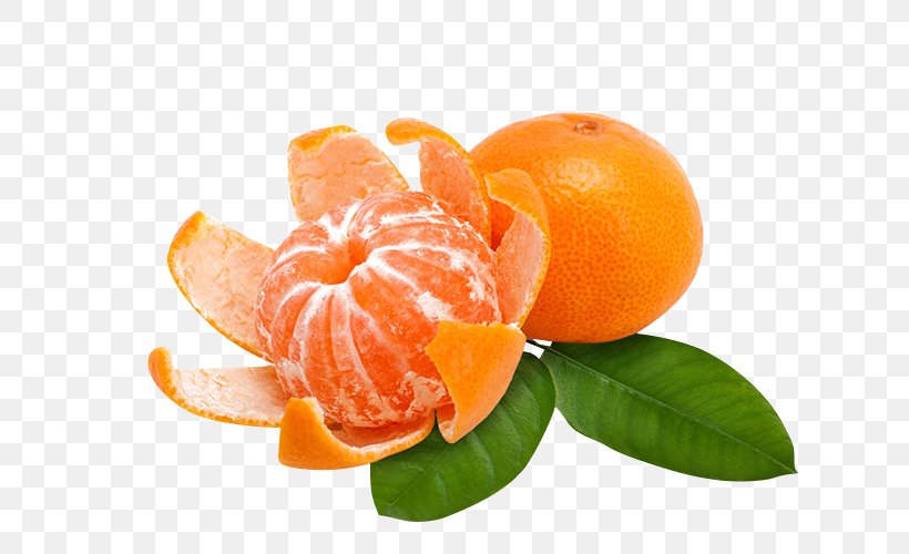 Lemon Cartoon, PNG, 730x500px, Clementine, Bitter Orange, Citric Acid, Citrus, Food Download Free