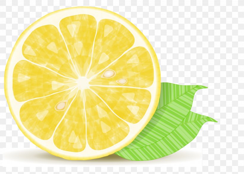 Lemonade Lemon Drop Lemon Chicken, PNG, 2093x1500px, Lemon, Citric Acid, Citron, Citrus, Drawing Download Free