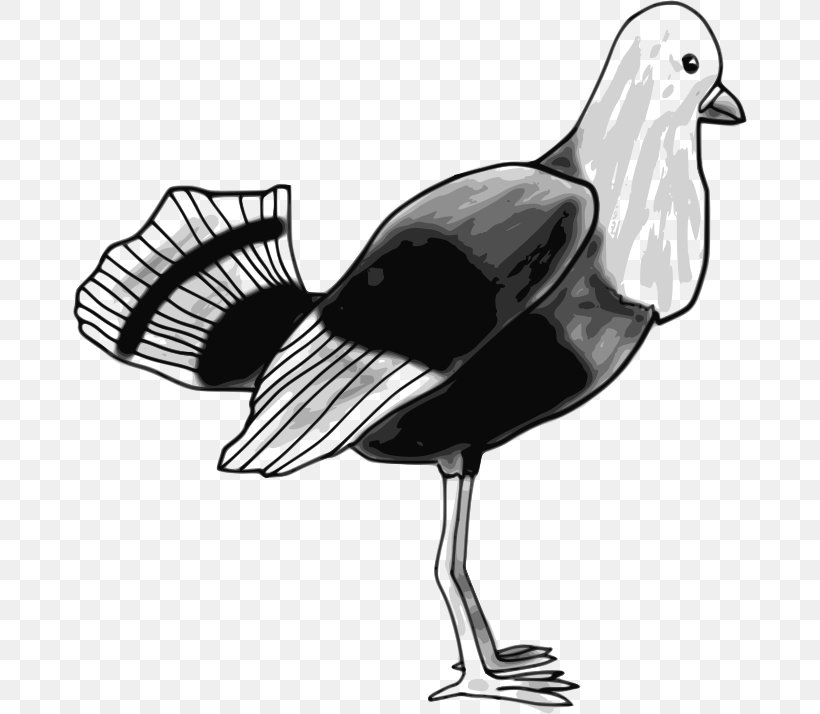 Bird Clip Art, PNG, 675x714px, Bird, Anatidae, Beak, Black And White, Copyright Download Free