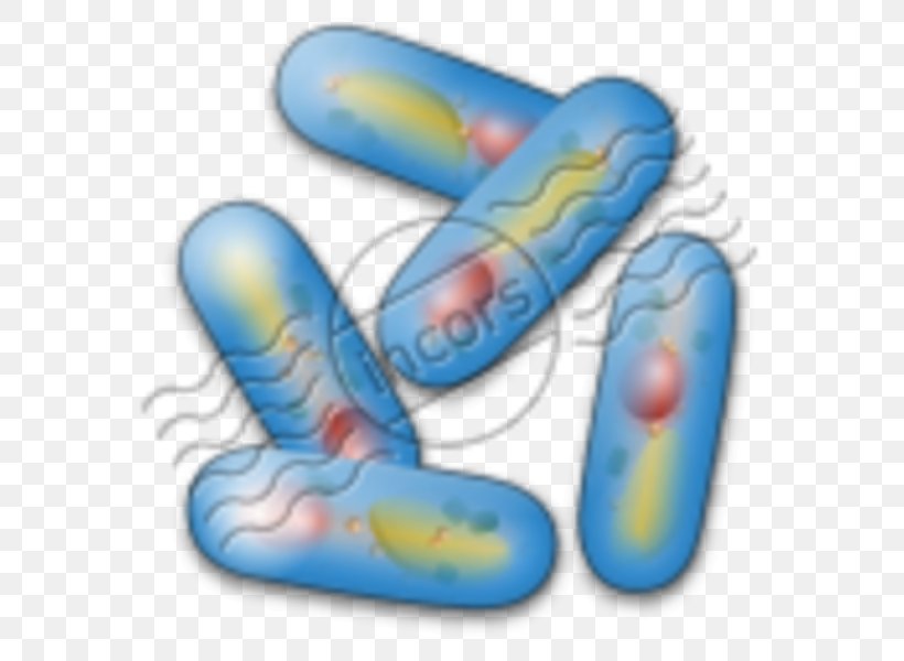 Clip Art, PNG, 600x600px, Bacteria, Finger, Flag Of Indonesia, Flag Of Vietnam, Gift Download Free