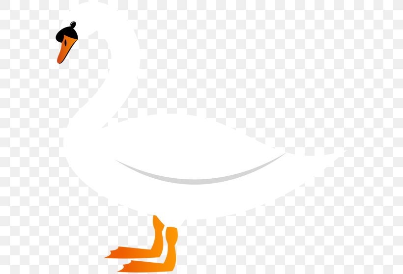 Duck Goose Clip Art Cygnini Image, PNG, 600x558px, Duck, Art Museum, Beak, Bird, Black And White Download Free