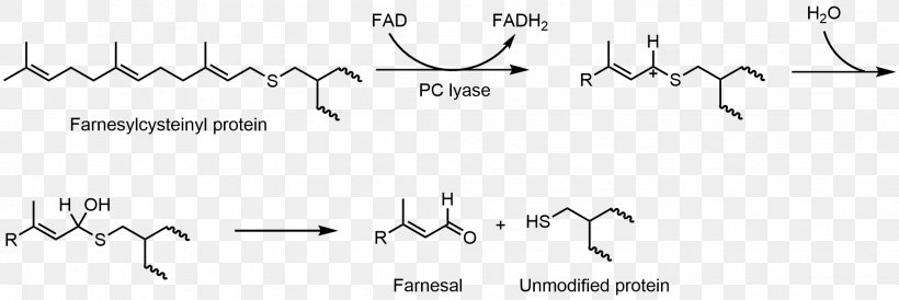 Flavin Adenine Dinucleotide Hemithioacetal Flavin Group Redox Biology, PNG, 2086x699px, Watercolor, Cartoon, Flower, Frame, Heart Download Free