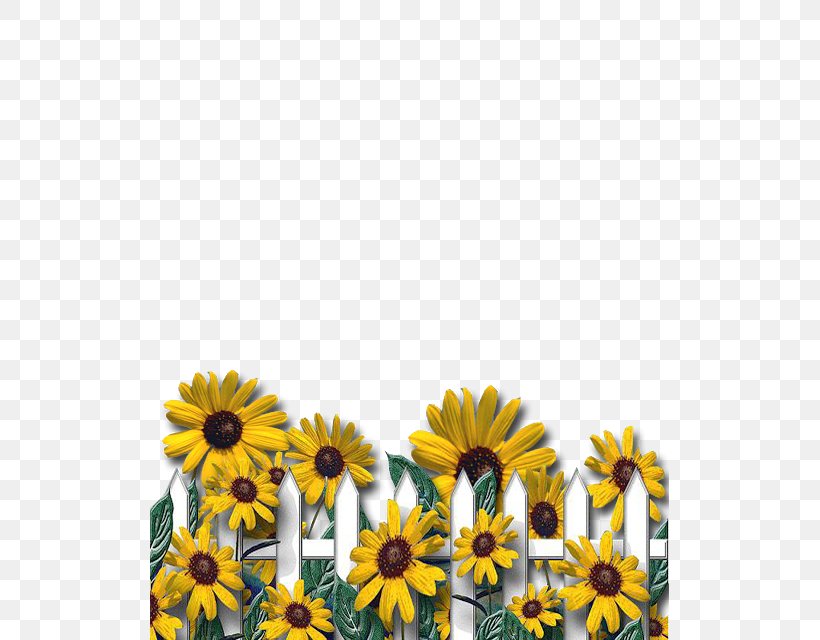 Letter Case Common Sunflower Alphabet, PNG, 519x640px, Letter, Alphabet, Common Sunflower, Daisy, Daisy Family Download Free