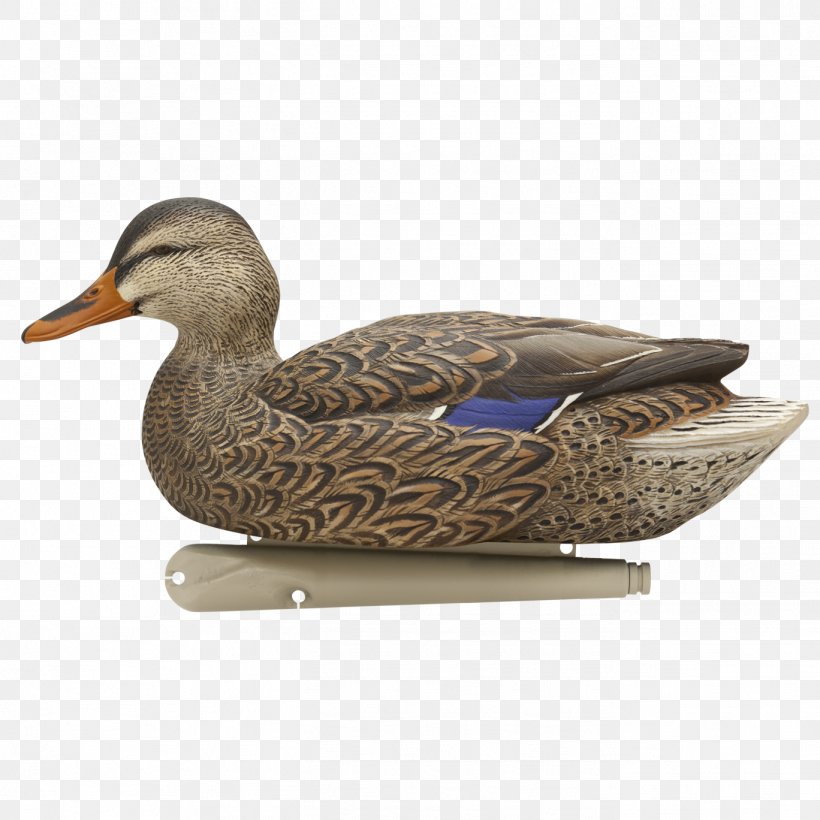 Mallard Duck Decoy Goose, PNG, 1368x1368px, Mallard, American Black Duck, Anseriformes, Avian Influenza, Beak Download Free