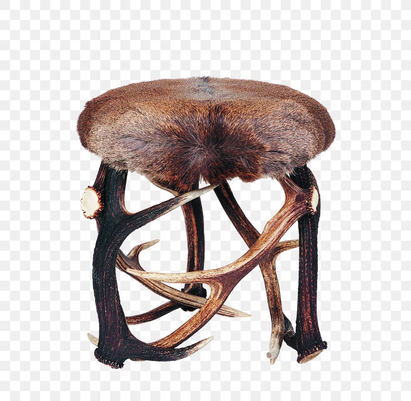 Red Deer Stool Furniture Bont, PNG, 800x800px, Deer, Antler, Bont, Chair, Fallow Deer Download Free
