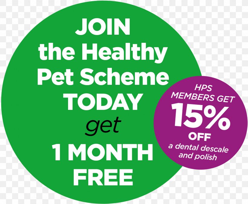 Cat Dog Pet Veterinarian Dentistry, PNG, 1618x1335px, Cat, Area, Brand, Customer, Dental Consonant Download Free