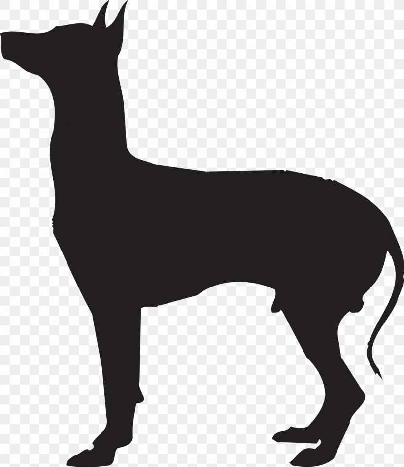 Dog Breed Mexican Hairless Dog Peruvian Inca Orchid German Pinscher Cat, PNG, 1800x2079px, Dog Breed, Animal, Assistance Dog, Black And White, Breed Download Free