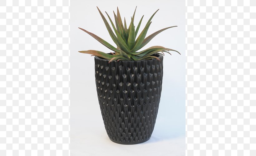 Flowerpot Planter's Punch Juice Garden Houseplant, PNG, 500x500px, Flowerpot, Agave, Blue, Cactus, Ceramic Download Free