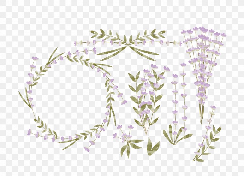 Lavender Flower Euclidean Vector Watercolor Painting Logo, PNG, 1714x1242px, English Lavender, Border, Branch, Element, Flora Download Free