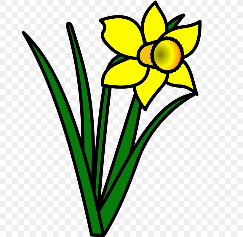 St Davids St. David's Day National Symbols Of Wales Porthclais, PNG, 793x800px, St Davids, Artwork, Black And White, Cut Flowers, Flag Of Wales Download Free