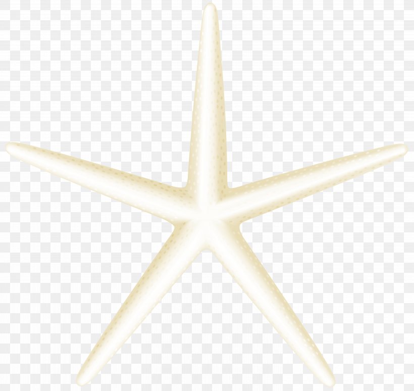 Star Angle Pattern, PNG, 6000x5667px, Symmetry, Pattern, Product Design, Star, Starfish Download Free