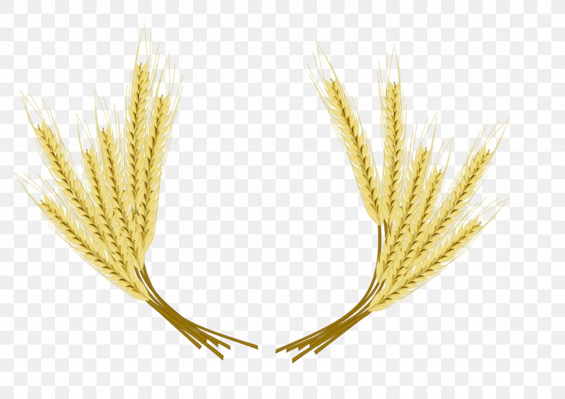Beer Common Wheat Barley Clip Art, PNG, 1280x905px, Beer, Barley, Cereal, Cereal Germ, Commodity Download Free