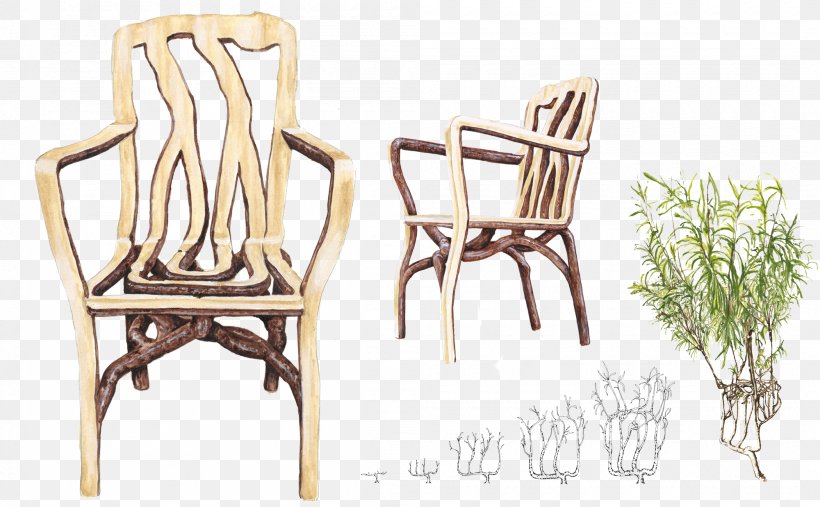 Chair Furniture Tree Designer, PNG, 2000x1238px, Chair, Apartment, Art, Creativity, Designer Download Free