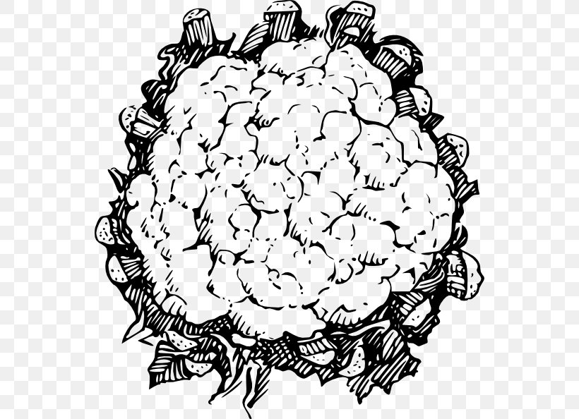 Drawing Line Art Cauliflower Clip Art, PNG, 552x594px, Drawing, Area, Artwork, Black And White, Cauliflower Download Free