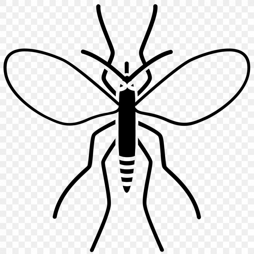 Insect Drawing Charcoal Line Art, PNG, 1200x1200px, Insect, Animal, Arthropod, Artwork, Black And White Download Free