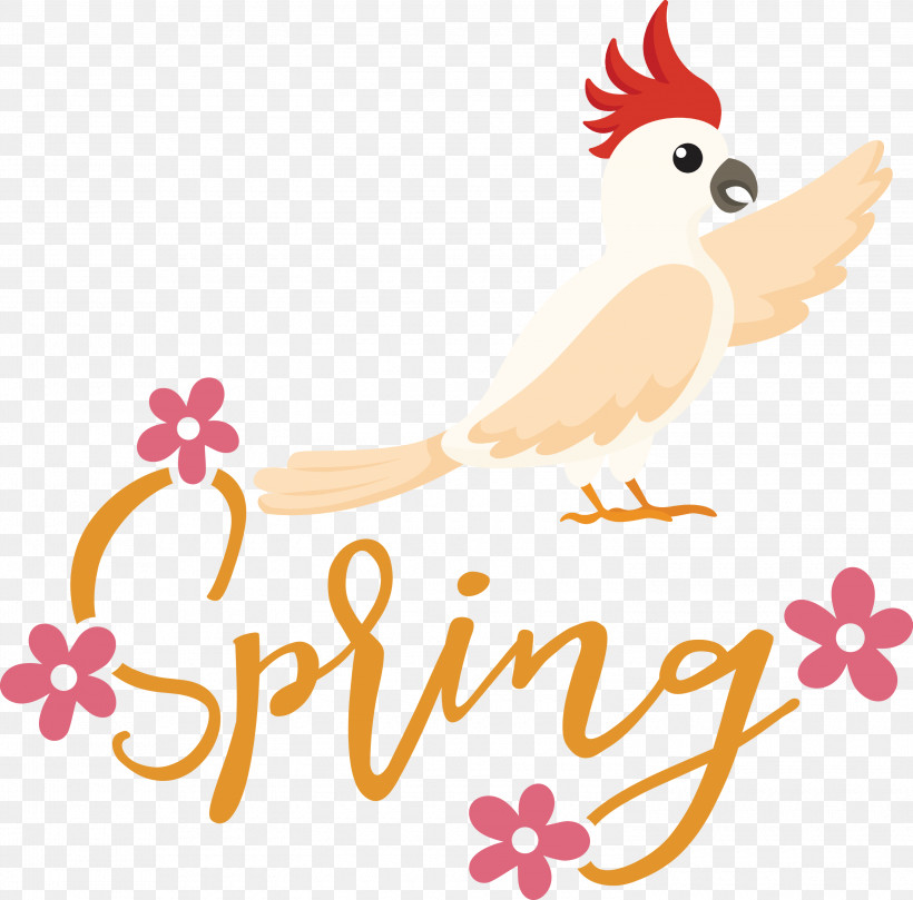 Spring Bird, PNG, 3000x2963px, Spring, Beak, Bird, Birds, Cartoon Download Free