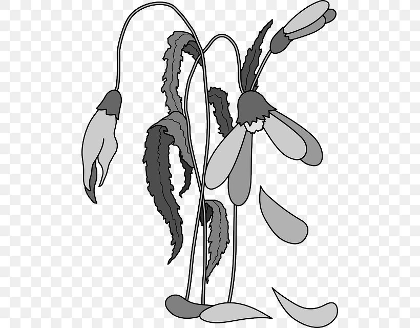 Death Plant Royalty-free Clip Art, PNG, 501x640px, Death, Art, Artwork, Black And White, Cartoon Download Free