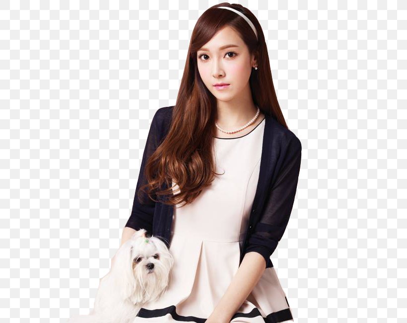 Jessica Jung South Korea Girls' Generation Jessica & Krystal Actor, PNG, 650x650px, Watercolor, Cartoon, Flower, Frame, Heart Download Free