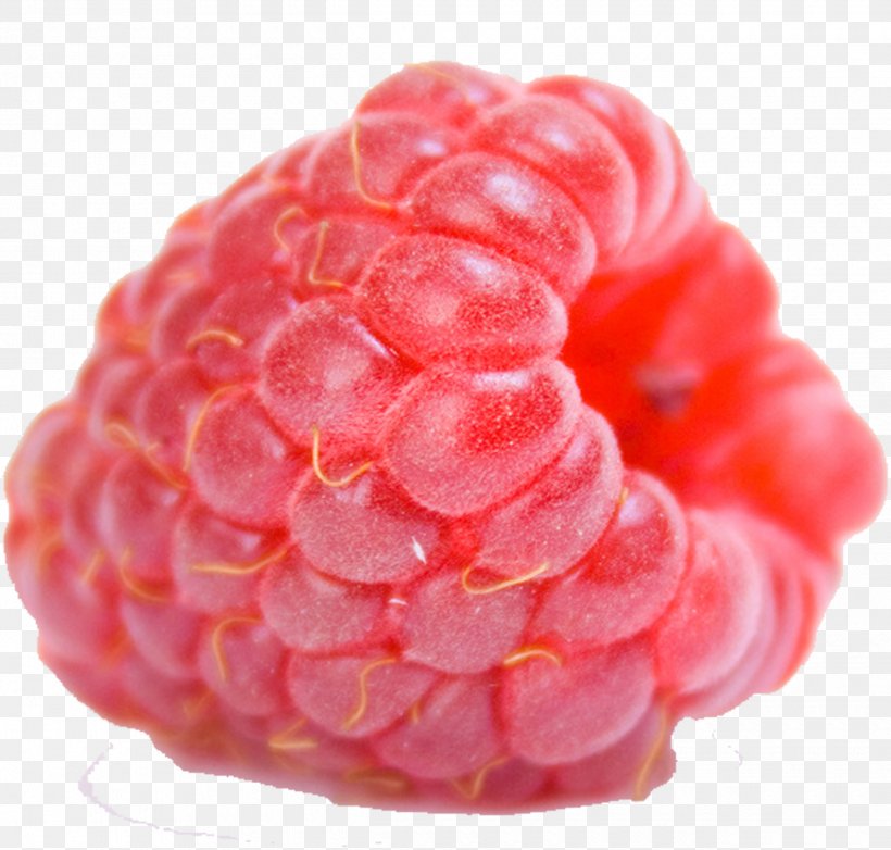 Red Raspberry Fruit Auglis Mxfbre, PNG, 2480x2368px, Raspberry, Amora, Auglis, Berry, Drawing Download Free