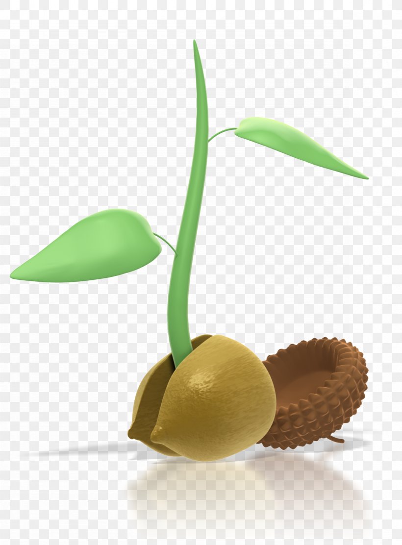 Seed Sprouting Acorn Cereal Germ Clip Art, PNG, 1179x1600px, Seed, Acorn, Birth, Cereal Germ, Flowerpot Download Free