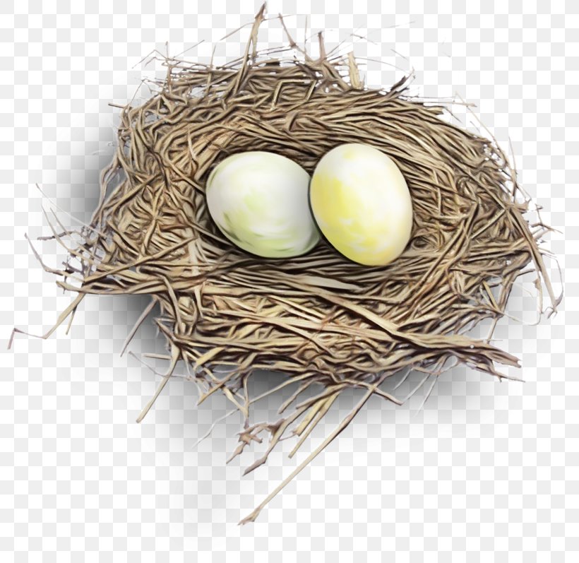 Twig Background, PNG, 800x797px, Nestm, Bird, Bird Nest, Egg, Nest Download Free