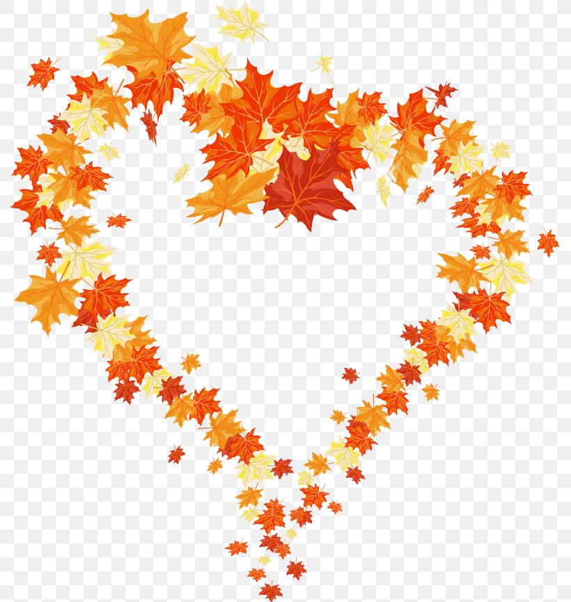 Autumn Leaf Color Heart, PNG, 789x864px, Heart, Autumn, Autumn Leaf Color, Flowering Plant, Leaf Download Free