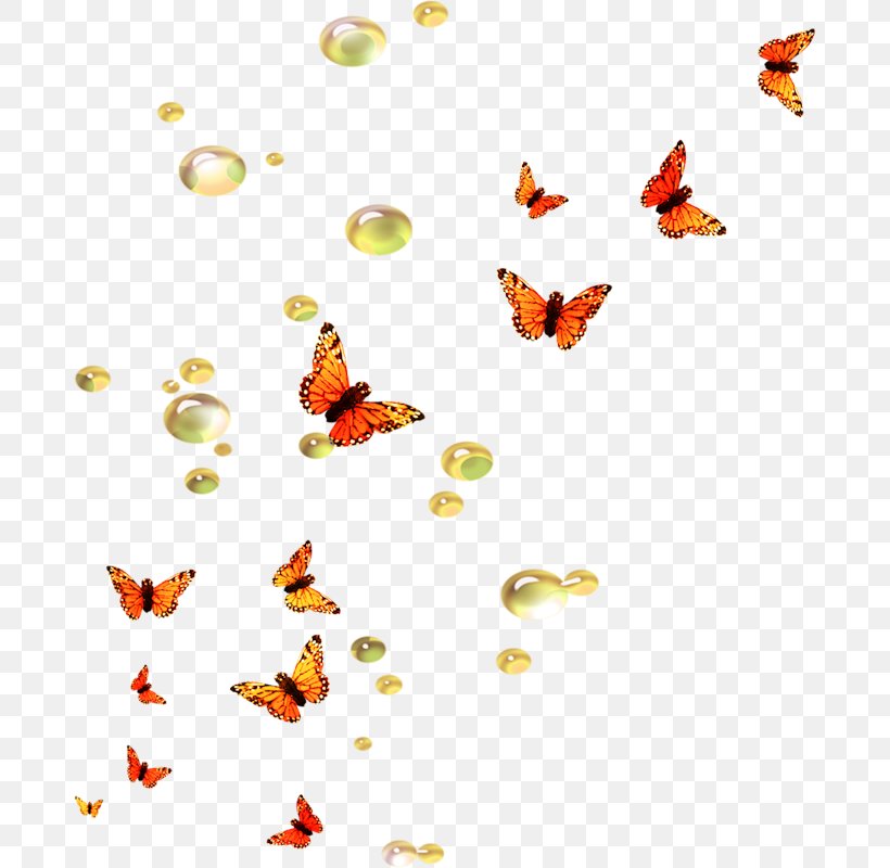 Butterfly Desktop Wallpaper Moth Bird, PNG, 684x800px, Butterfly, Animal, Art, Bird, Butterflies And Moths Download Free