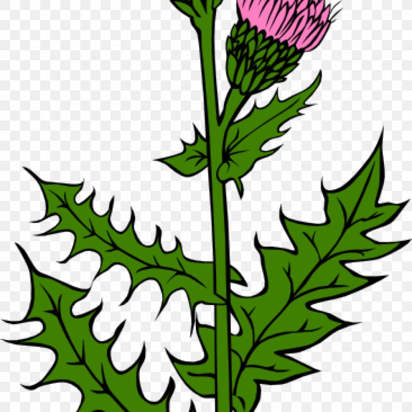 Flag Of Scotland Thistle Clip Art Vector Graphics, PNG, 1024x1024px, Scotland, Artwork, Cut Flowers, Flag, Flag Of Scotland Download Free