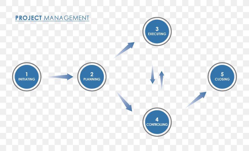 Organization Project Management Program Management, PNG, 800x500px, Organization, Brand, Communication, Computer Icon, Diagram Download Free