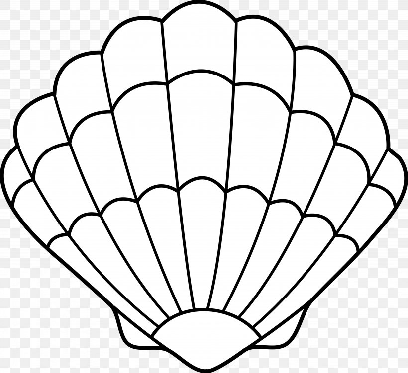 Clam Seashell Drawing Clip Art, PNG, 6142x5628px, Clam, Area, Black And White, Coloring Book, Drawing Download Free
