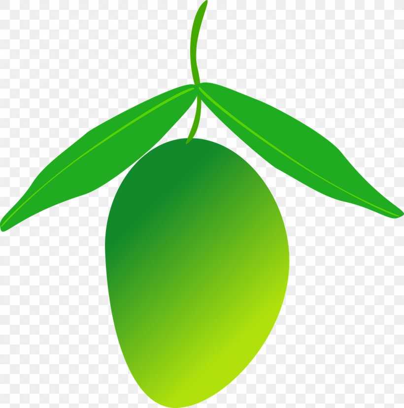 Fruit Mango, PNG, 1266x1280px, Fruit, Cyan, Green, Leaf, Mangifera Indica Download Free