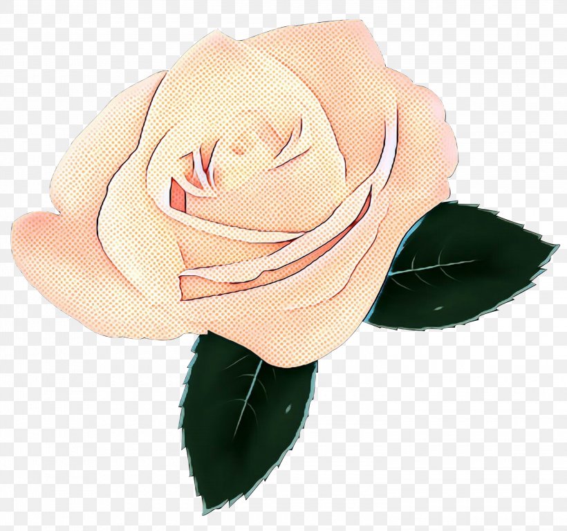 Garden Roses Cabbage Rose Cut Flowers Petal, PNG, 3000x2810px, Garden Roses, Beige, Botany, Cabbage Rose, Cut Flowers Download Free