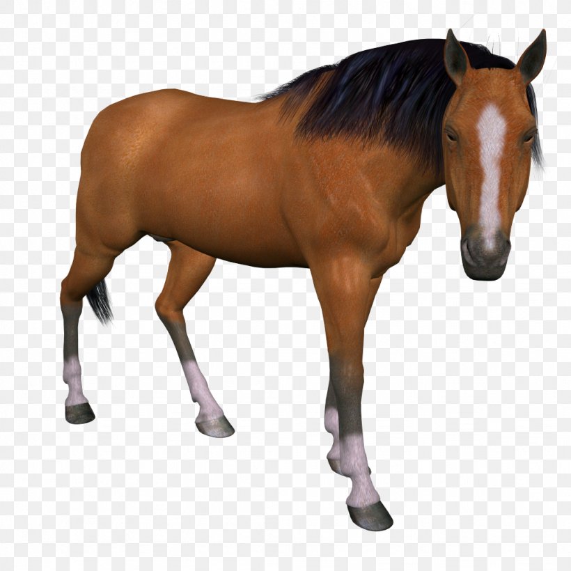 Horse Animal Ve, PNG, 1024x1024px, Horse, Animal, Animal Figure, Bit, Bridle Download Free