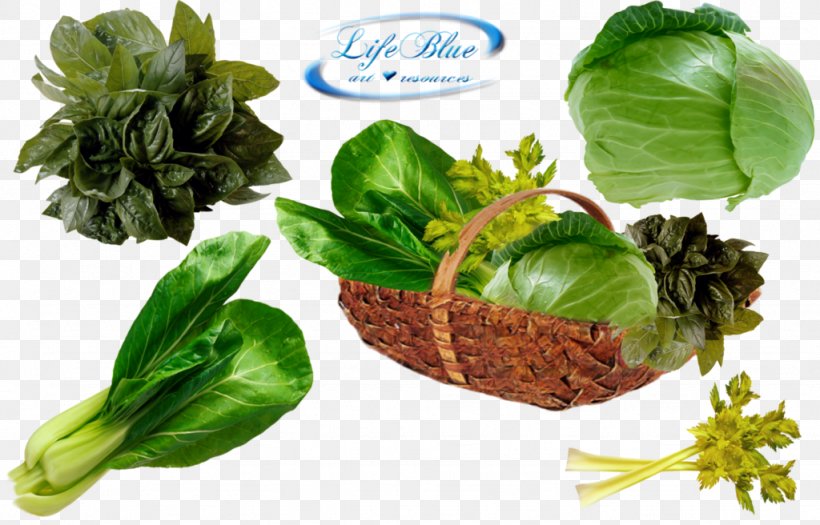 Leaf Vegetable Food, PNG, 1024x656px, Vegetable, Basil, Chard, Collard Greens, Cruciferous Vegetables Download Free